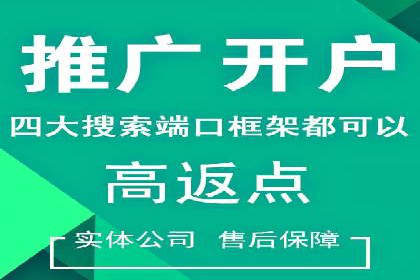 成功案例：网络推广与竞价广告的完美结合